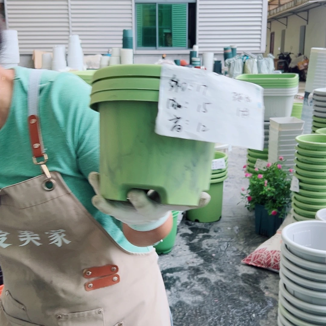 瑕疵球根盆1#果绿色10个无托
