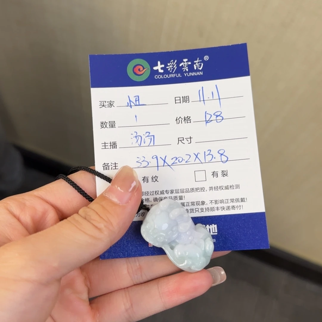 ****翡翠未镶嵌颈饰貔貅