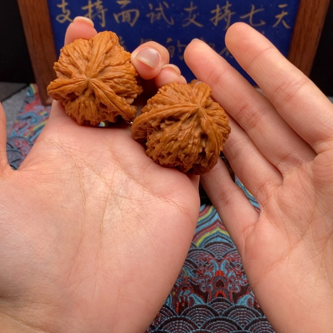 【闪购商品】森*木白狮