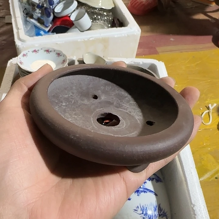 *****好的好激动激动激动激动积极