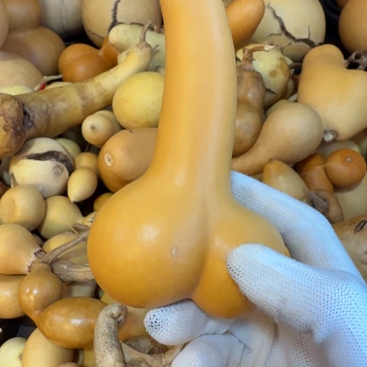 河***伯健健康康健健康康健健康康健健康康了