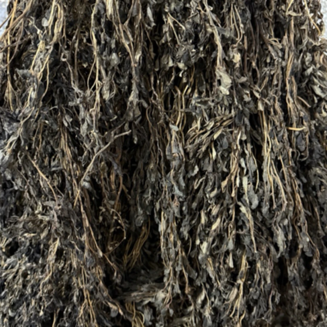 2025年新货干马齿苋整株野生包邮干马齿笕野菜马齿草马齿菜长寿菜