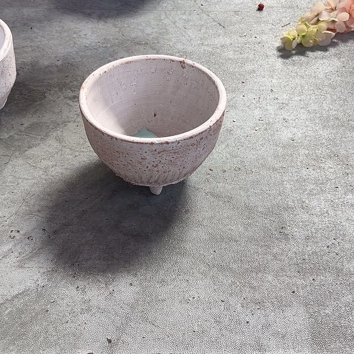 拍品福利福利，佳佳佳佳价