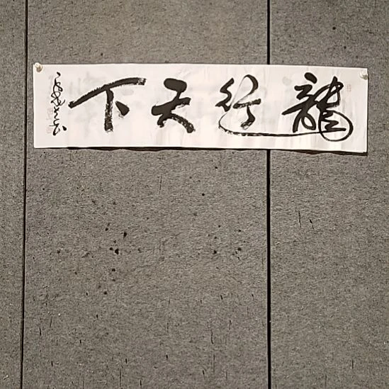书法宋秉民。龙行天下
