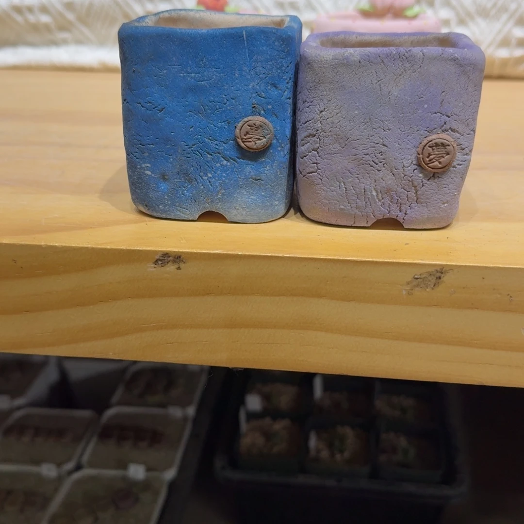 奶***廖1206-026盆盆盆盆盆p