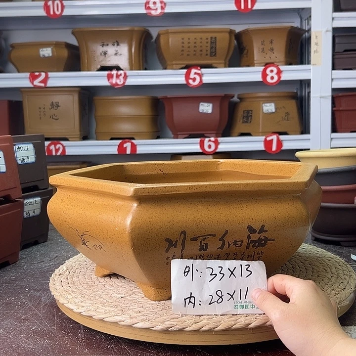 紫砂花盆蛇年大吉