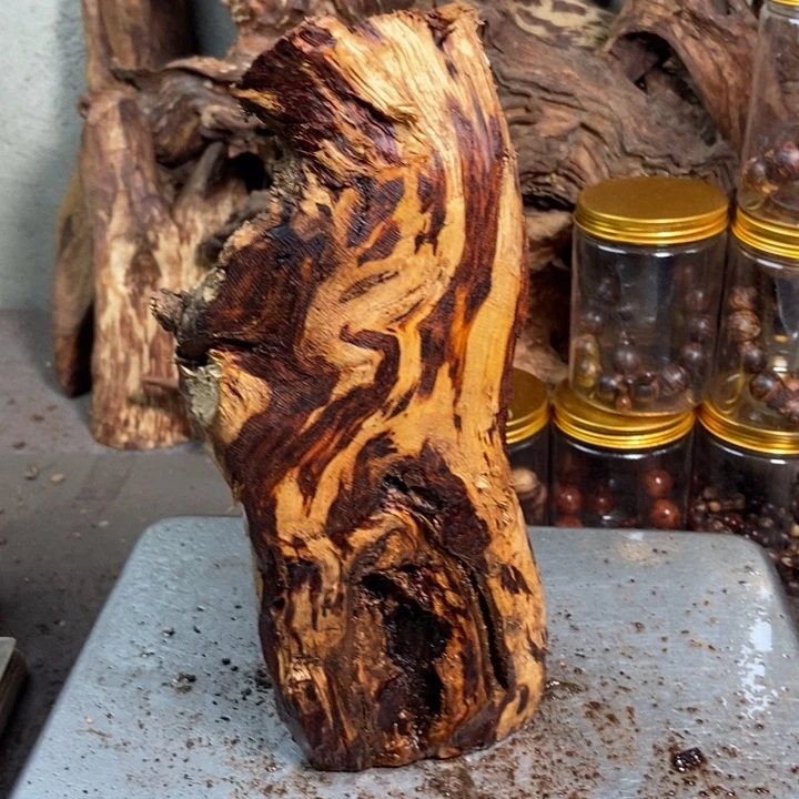 黄花梨/降香黄檀苔****开
