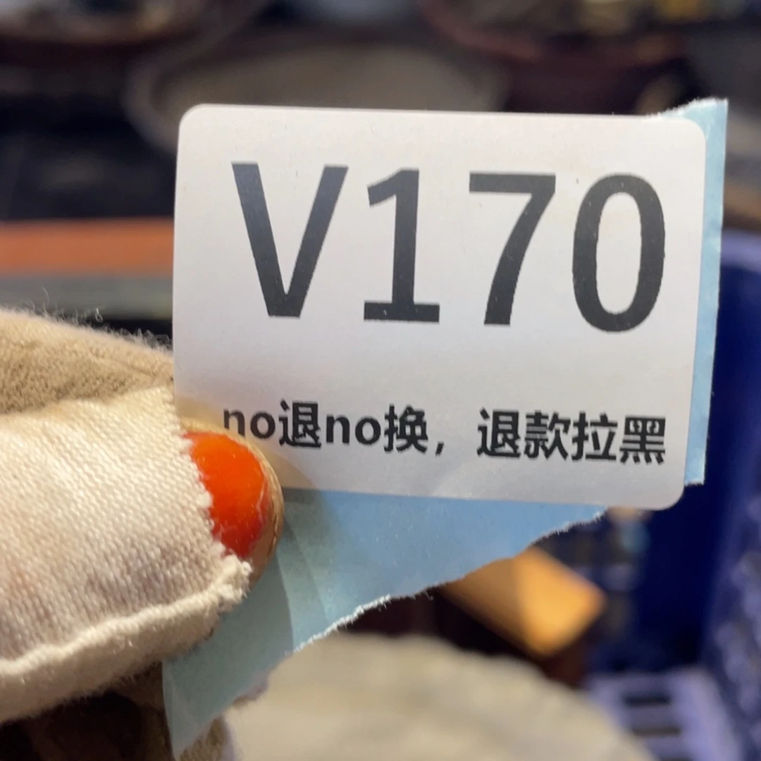 瓷片收****属火爆瓷片火爆瓷片