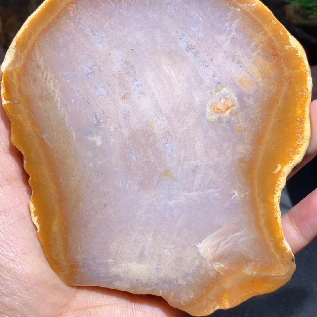 【闪购商品】硅化玉颈饰未镶嵌