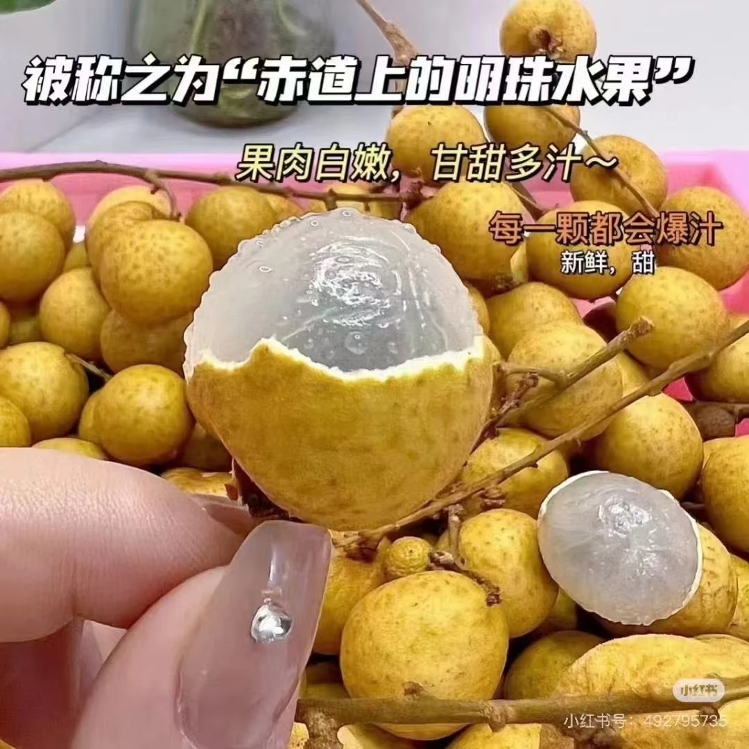 龙眼2斤