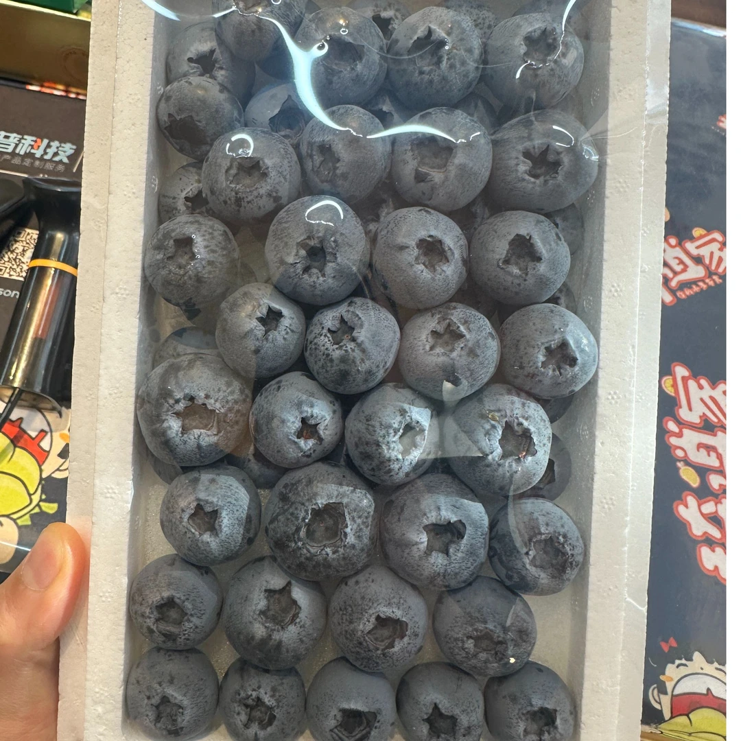 云南大果蓝莓泡沫箱每颗15mm（整箱毛重300g)云南省