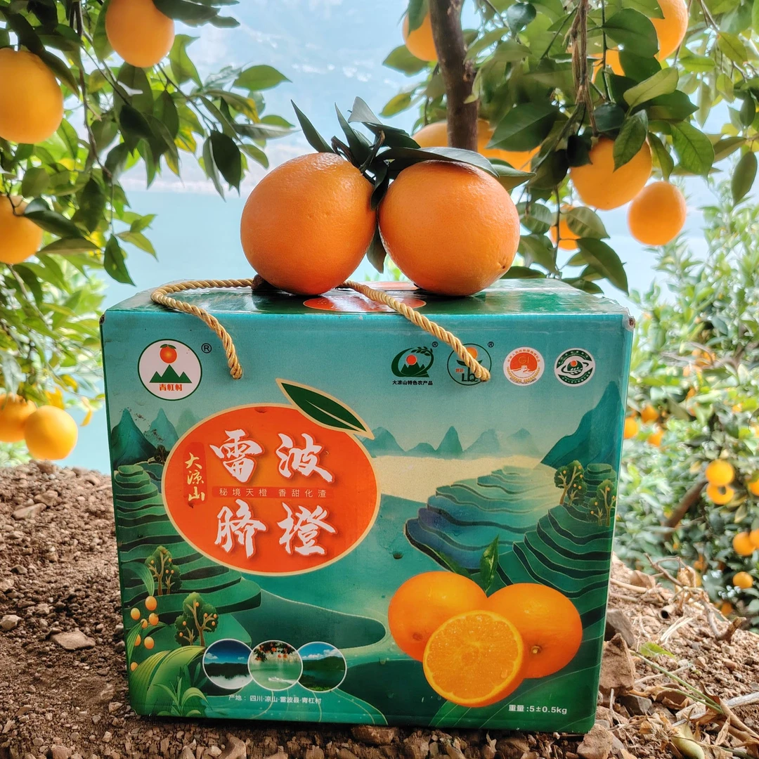 【中小果】大凉山雷波脐橙10斤