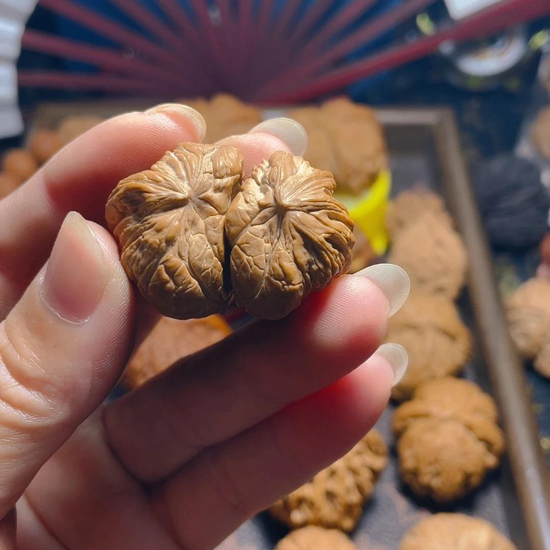 核桃手串/手链精品南疆半壁蛇