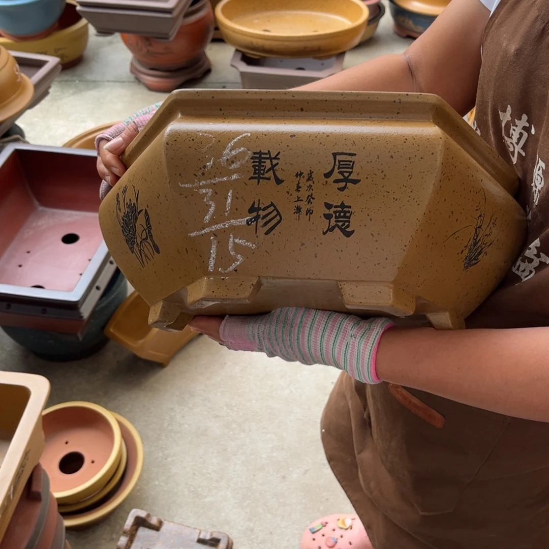 紫砂花盆盆景艺术
