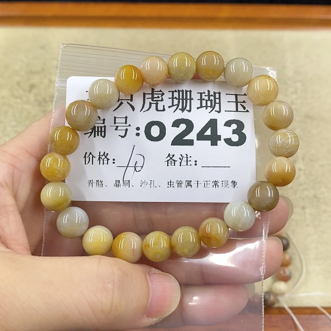 硅化珊瑚（珊瑚玉）1未镶嵌嘟*呀