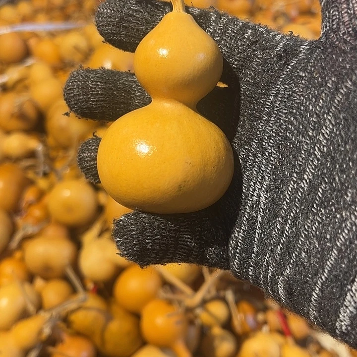 月***然满20包邮微瑕不退不换介意别拍
