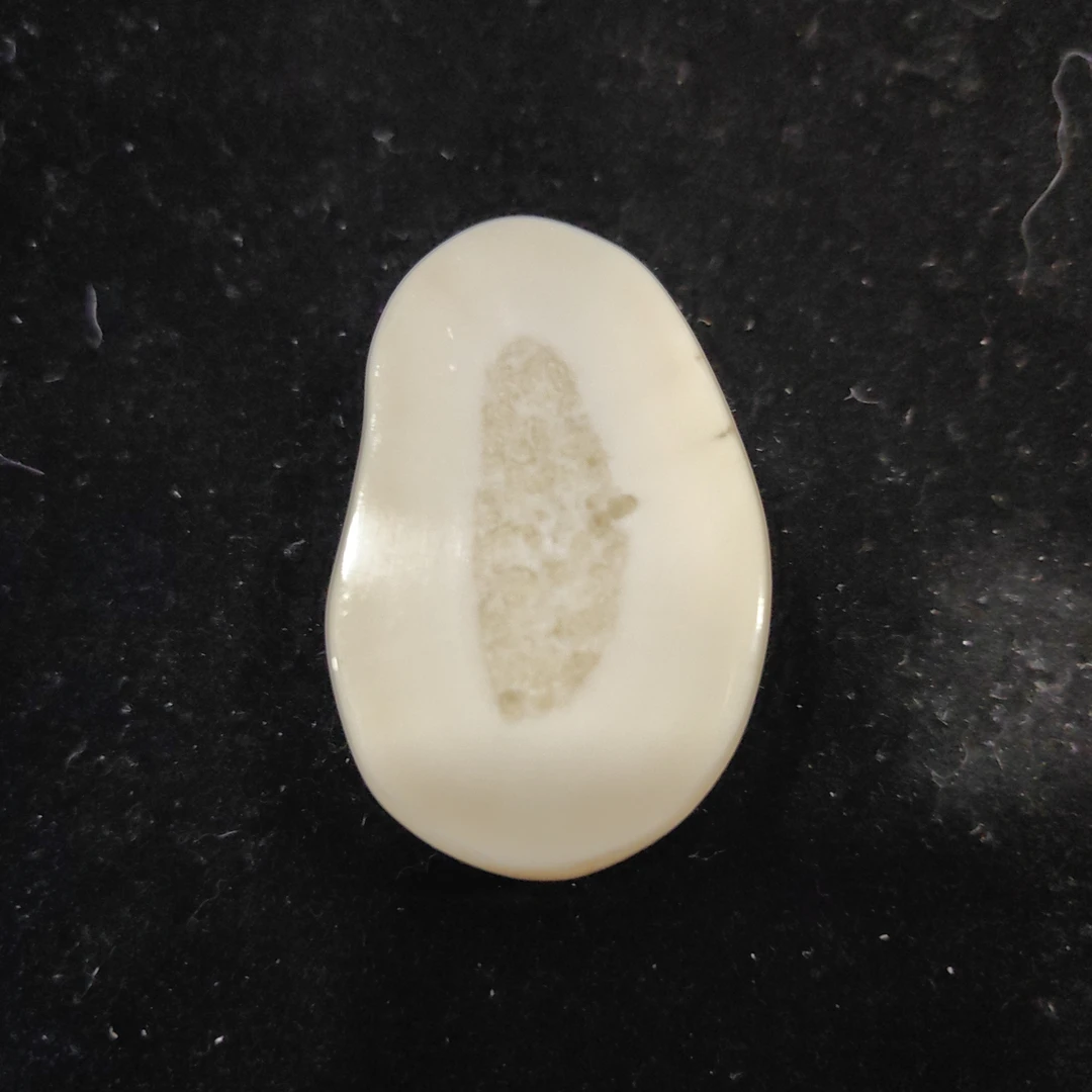猛犸猛犸虬饼子WW335