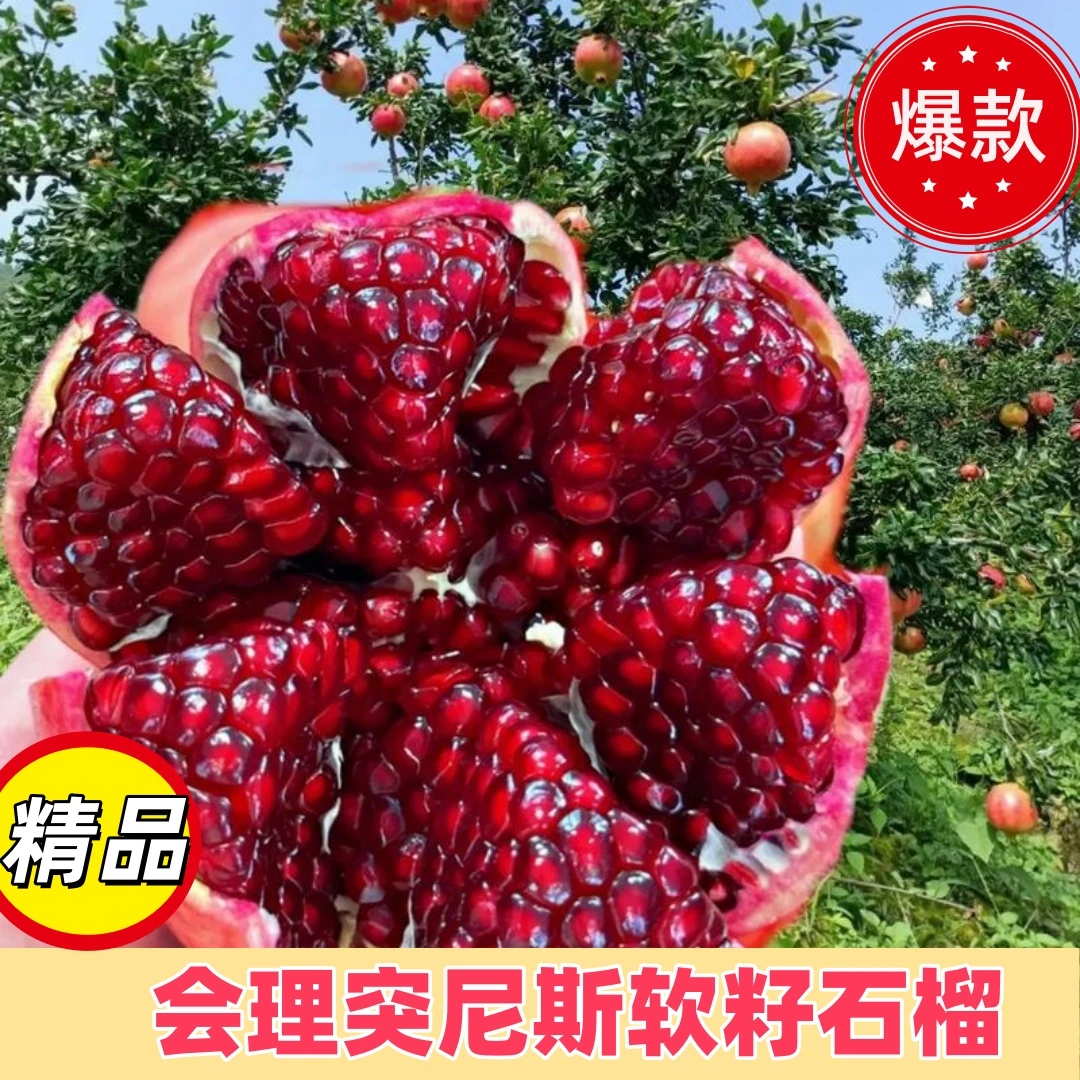 【精品礼盒】四川会理软籽石榴新鲜采摘爆甜多汁少籽水果