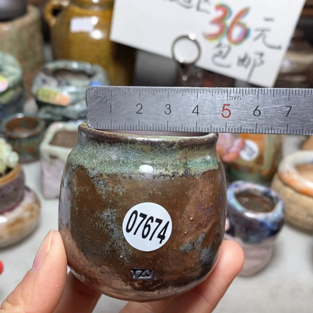 花盆拍5送一个小礼物