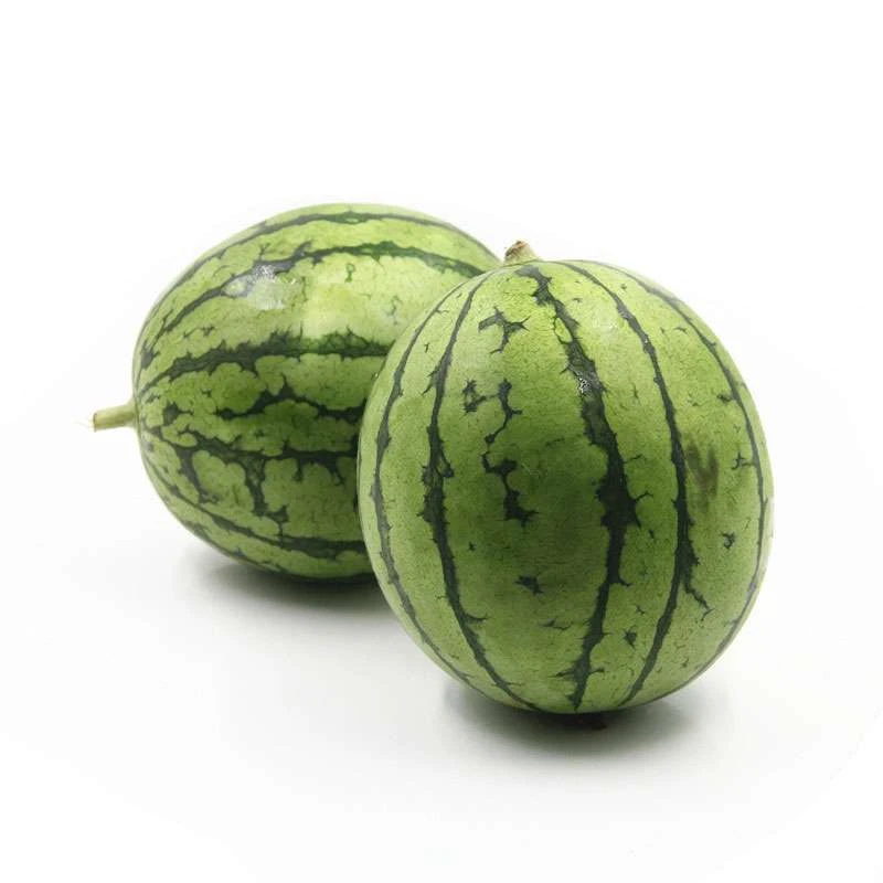 约6-7斤 新鲜麒麟瓜西瓜  &AM