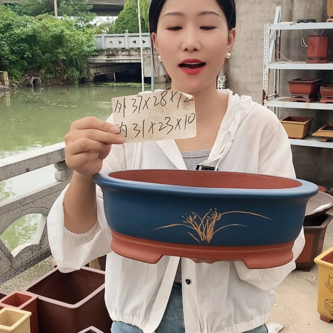 紫砂花盆紫砂花盆