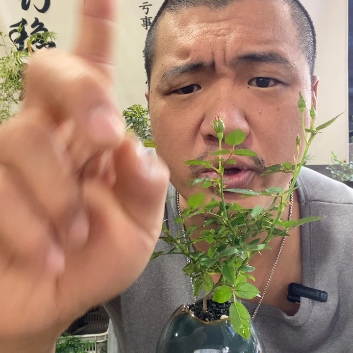 安***丘无花朵退款拉黑拉黑104