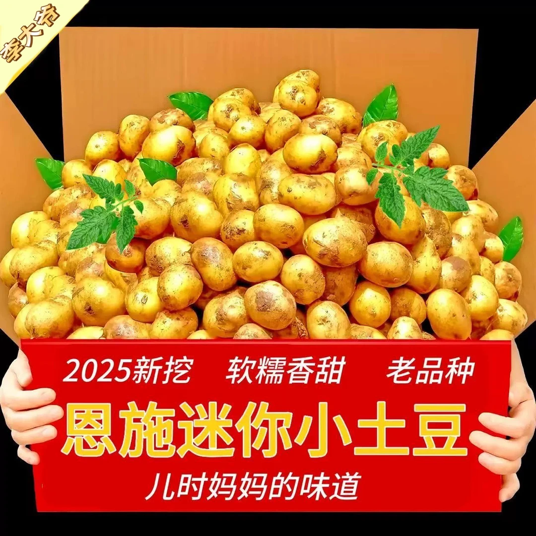网红恩施黄心小土豆呀新鲜现挖4/9斤迷你马铃薯洋芋（粉糯香甜）