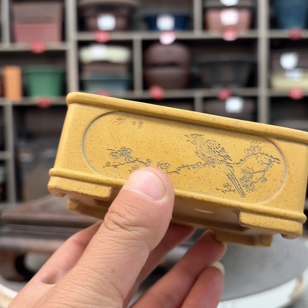 紫砂花盆紫砂的颜色很好看