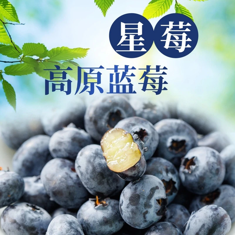 【顺丰空运】当季限量 高海拔蓝莓Blueberry大果18+mm花香浓郁
