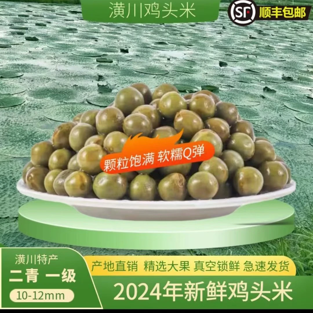 2025新鲜潢川鸡头米