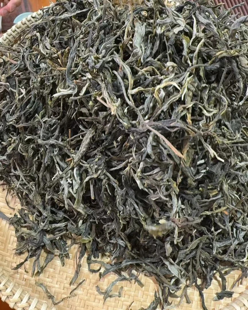 【318】2025年 坡脚 单株春茶 生茶 散茶