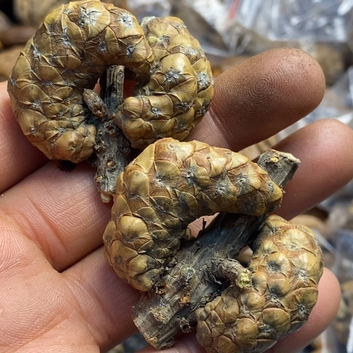 吊坠文玩核桃娜姐54