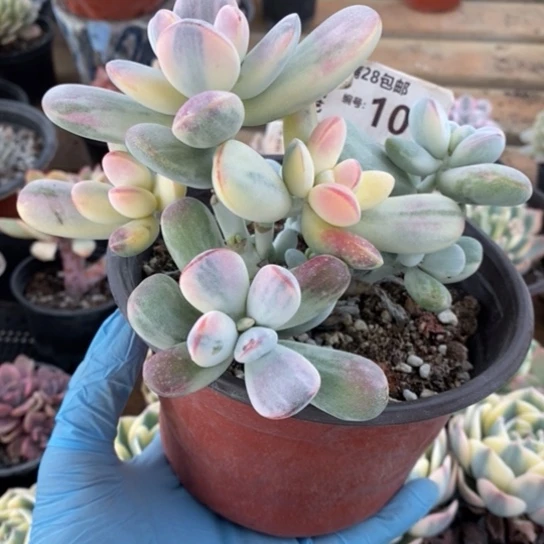 107一一一一一一一一一