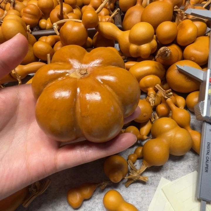 咩****咩咩的一把花都裂葫芦