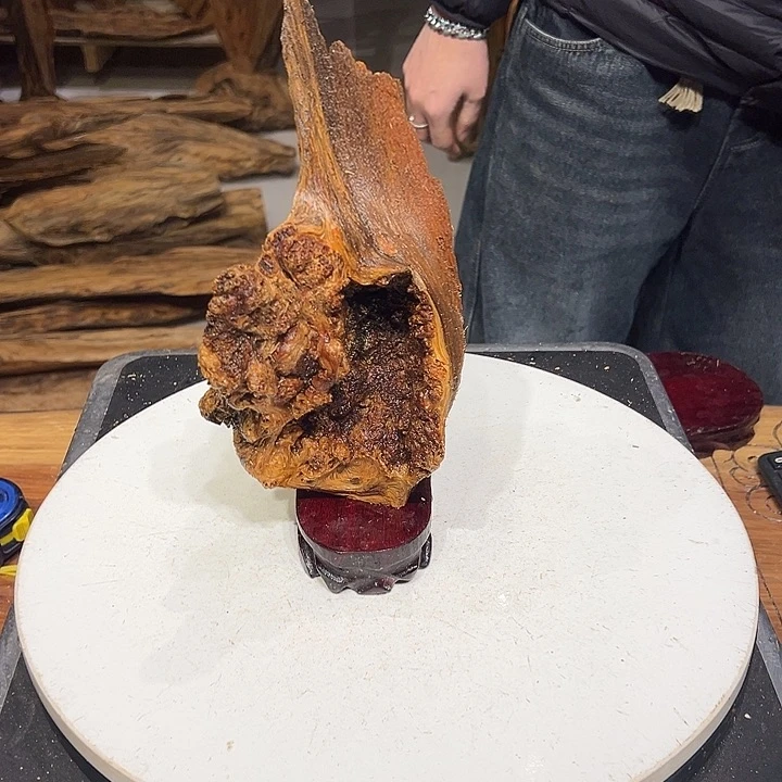 松木（琥珀木）恰*