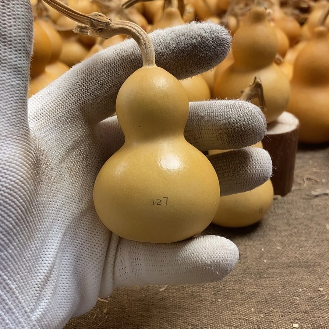 文玩葫芦 完美主义者 慎拍127