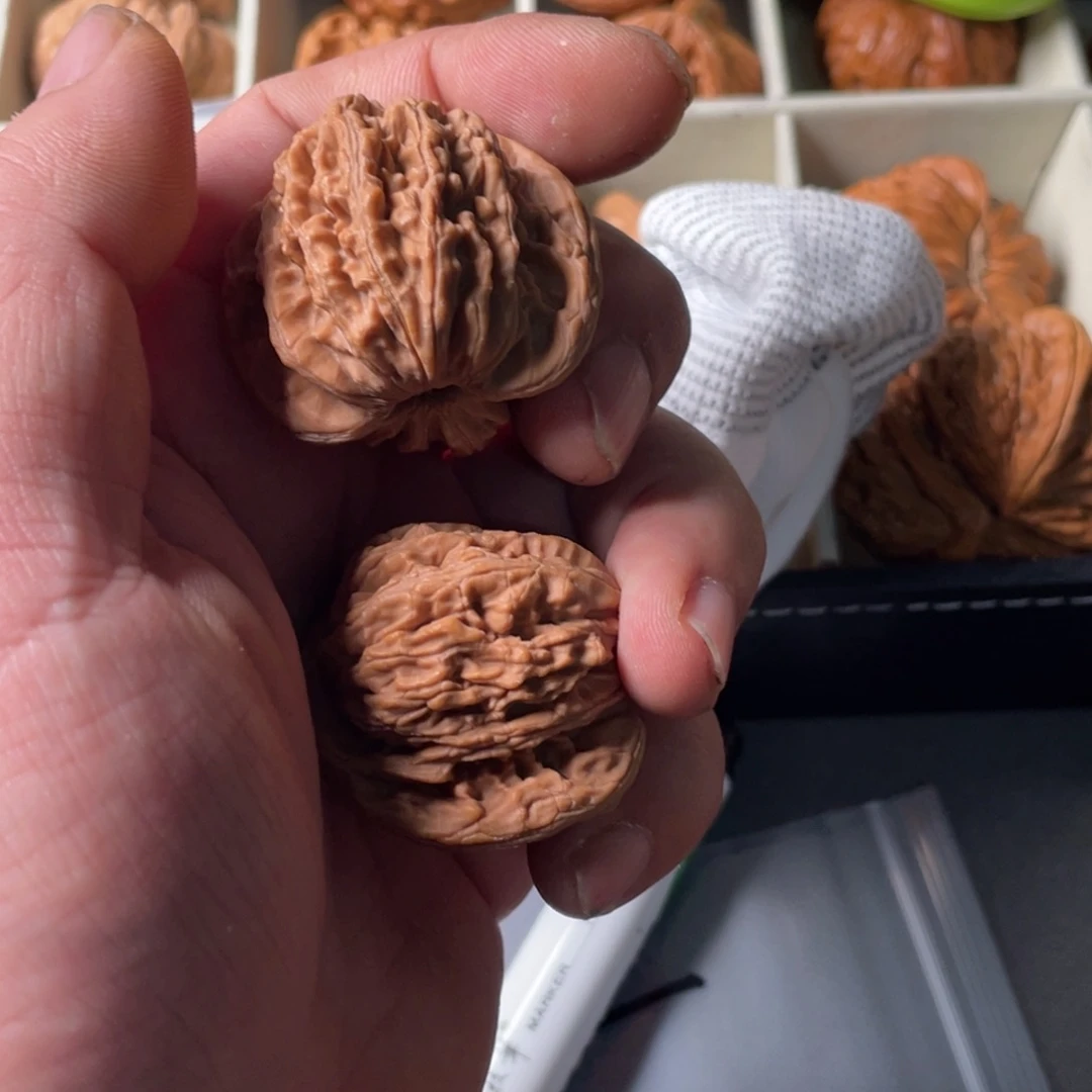 诗***方哈哈哈哈这两集都