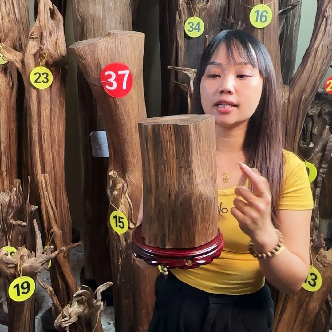 沉香沉香碎屑释沉香原材料摆件➕底座