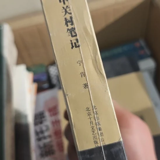 中村笔记，宁肯著作？