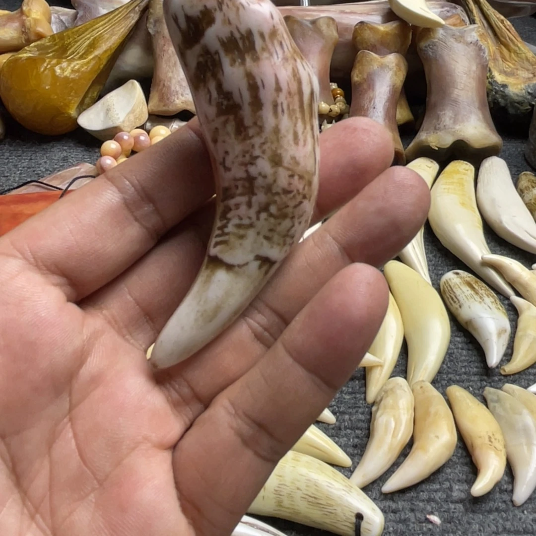 驼骨把件8+灰色驼牙