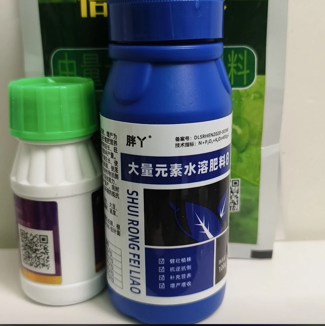 胖丫 拉粗拉长大蒜茎杆防冻防病速绿，让大蒜快速生长！！