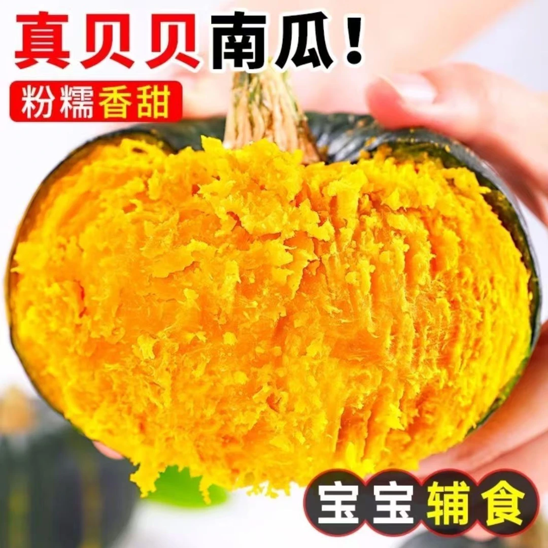 【坏果包赔】沙地贝贝粉糯香甜板栗味内贝贝小南瓜辅食粗粮代餐