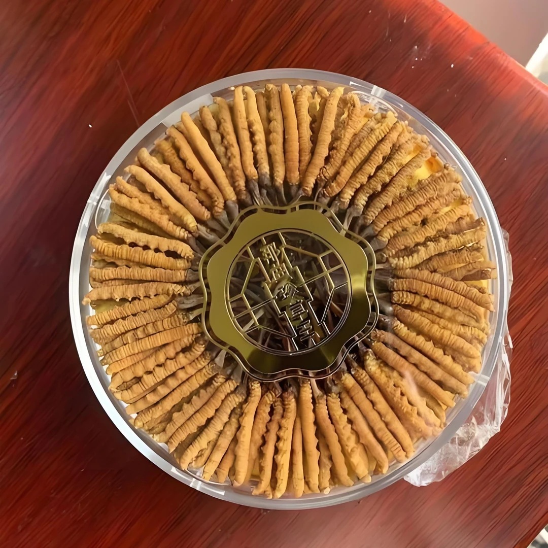 【A2025年】高海拔雪山头期鲜干冬虫夏草 【小小草50根-100根装】