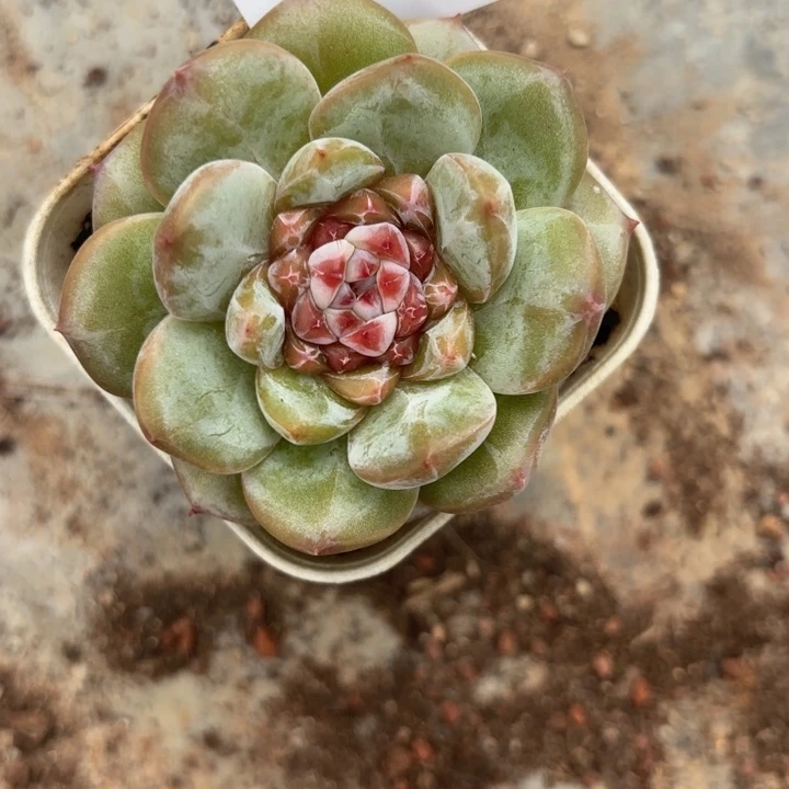 战后140呀呀呀意思U爱爱UUu