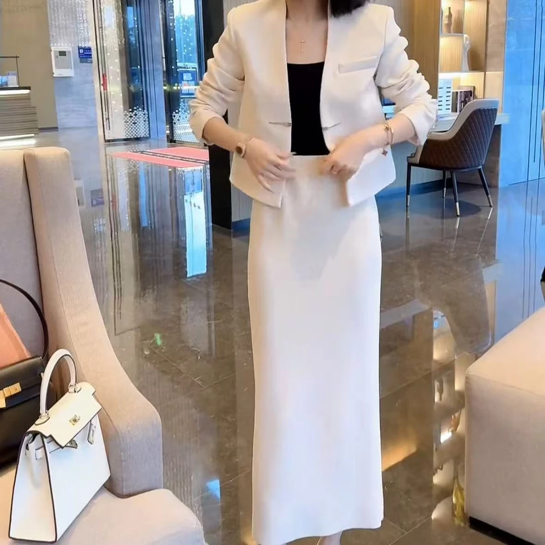 2025春季新款时尚显瘦气质女士网红洋气两件套百搭款D7237