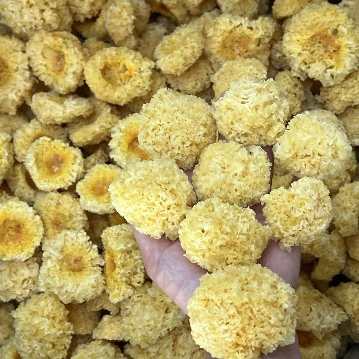 福建古田椴木小银耳干货特产易出胶口感糯