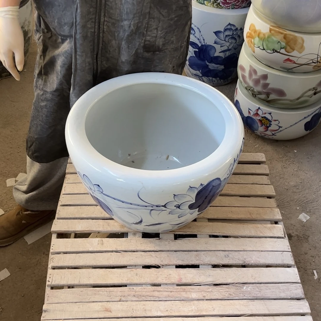 瓷片兰荷花40.88888888
