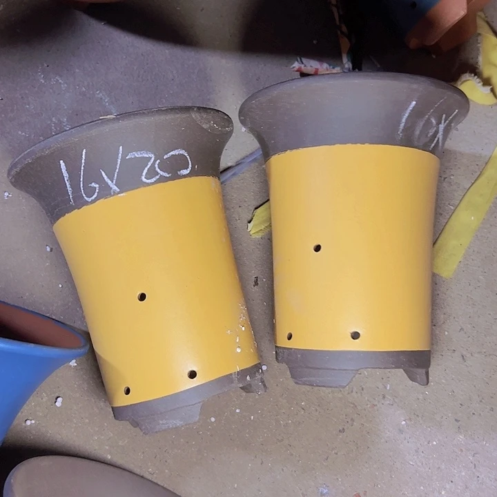 周深周深周深周深周深