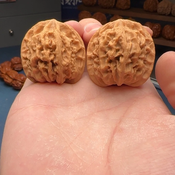 L37-37-37一代天地C18号