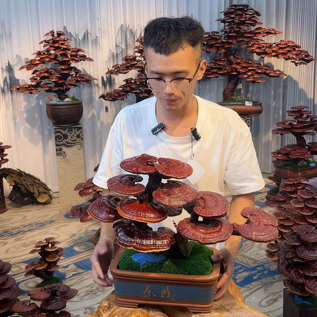 无花朵5999856655559965